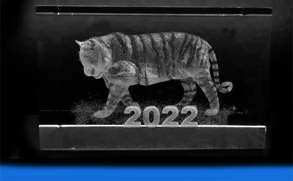 2022 год Тигра